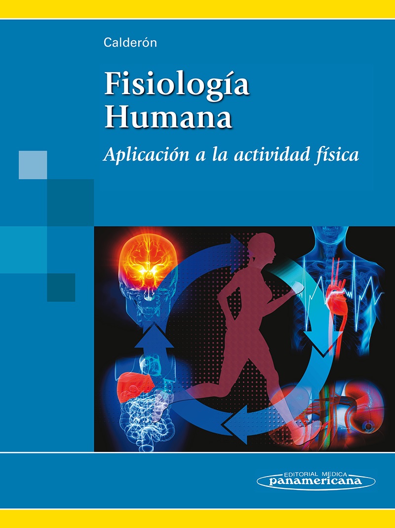 Fisiologia Umana Silverthorn Download 17